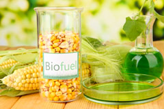 Penegoes biofuel availability