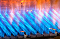 Penegoes gas fired boilers